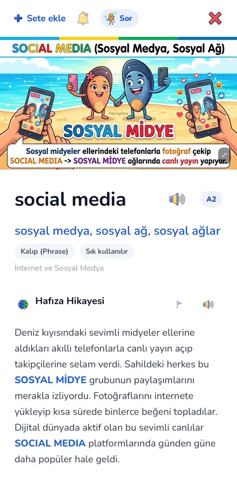 social media kelimesinin kartı: sahilde telefonla canlı yayın yapan iki midye, SOSYAL MİDYE sahnesi ve Türkçe hafıza hikâyesi